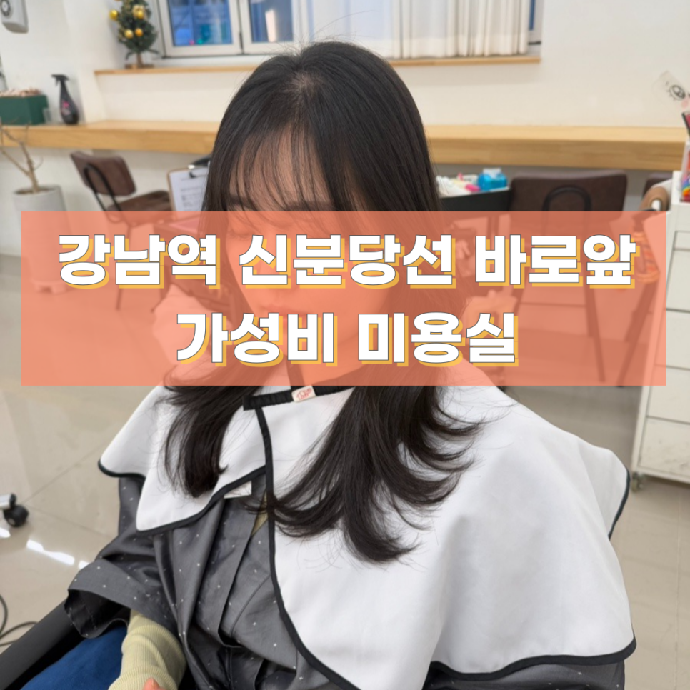 살롱드 지유 이미지