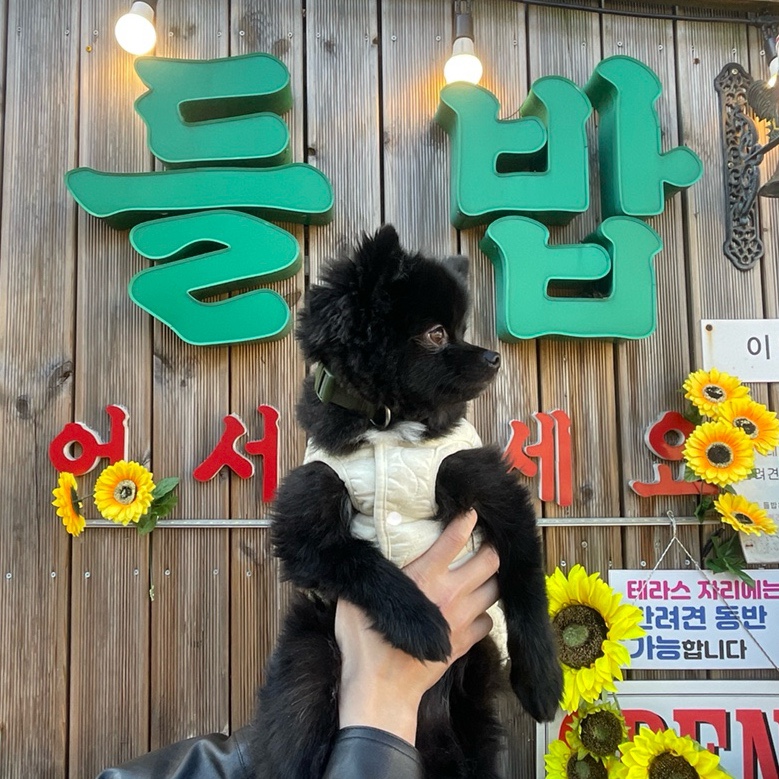 자연들밥 이미지