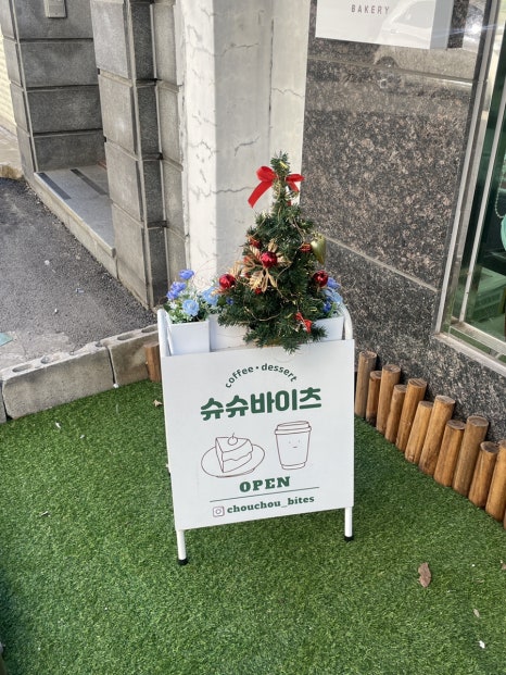 슈슈바이츠 이미지