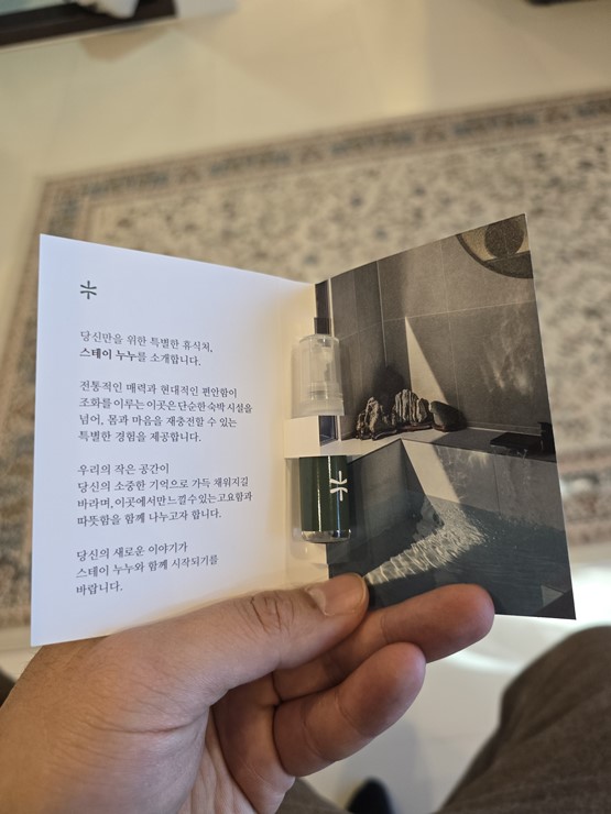스테이누누 이미지