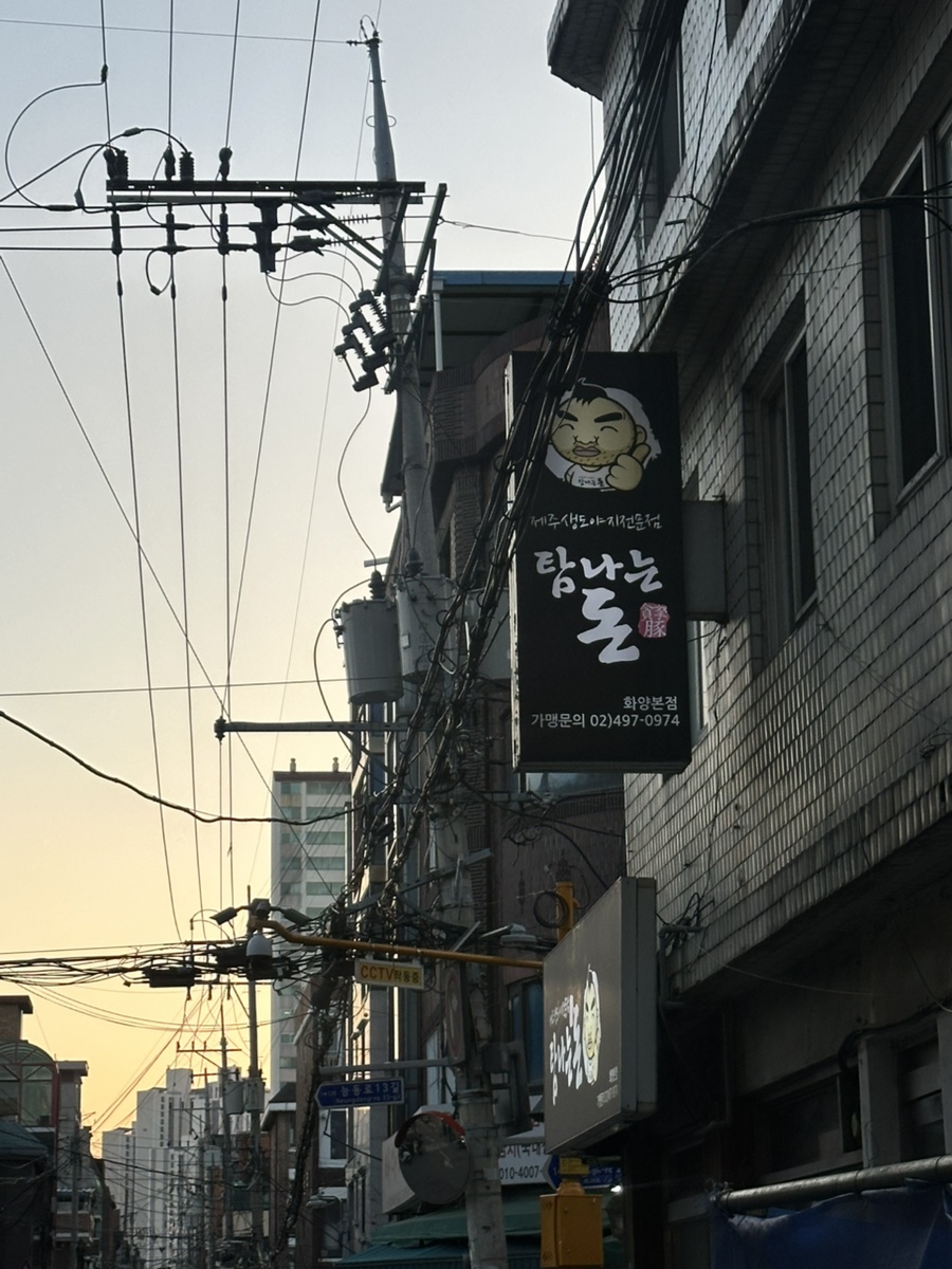 탐나는돈 이미지