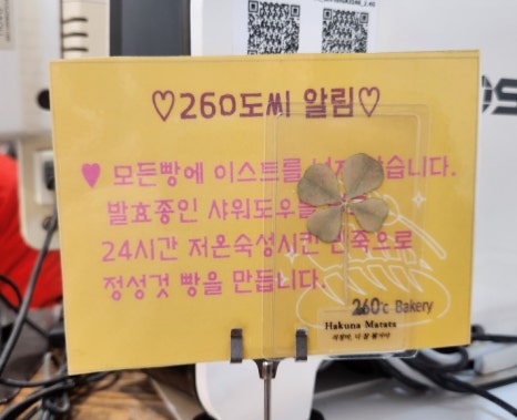 260도씨 이미지