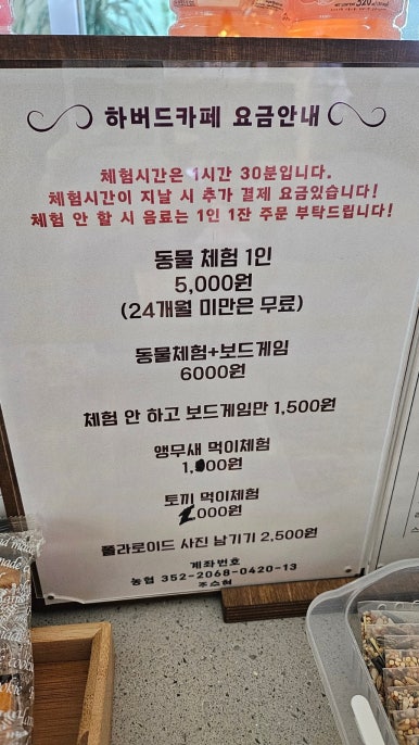 하버드앵무새카페 이미지
