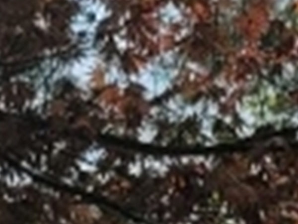 와인치과의원 이미지