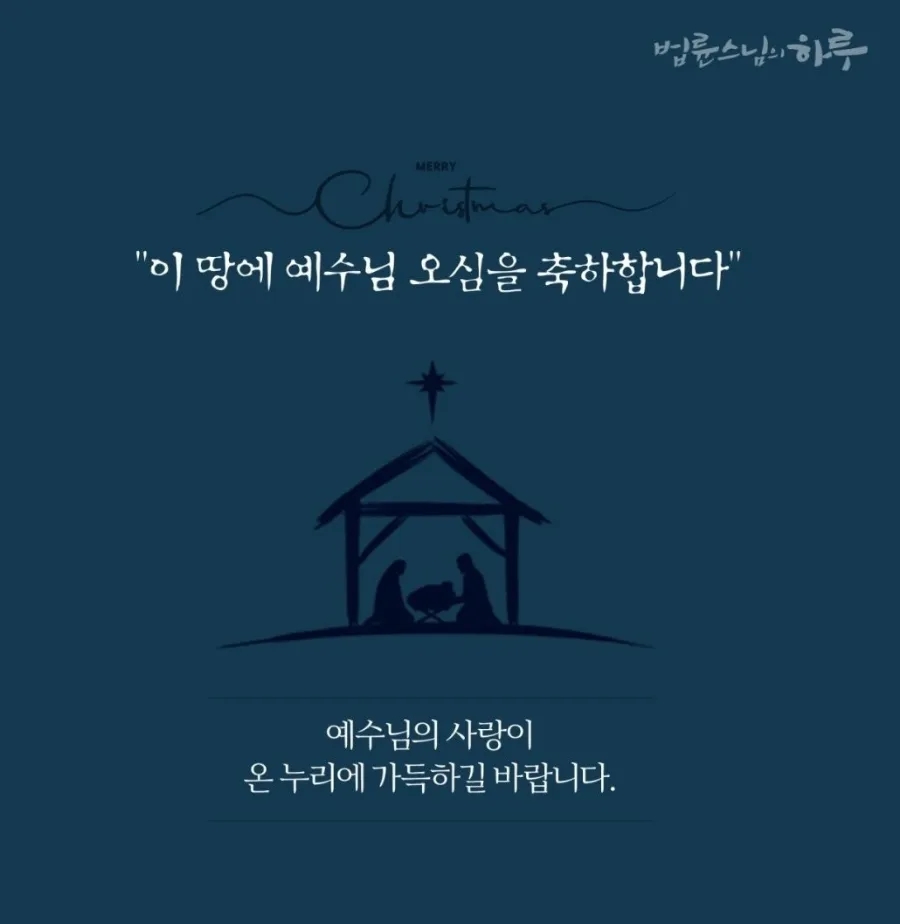 김치파이브 이미지