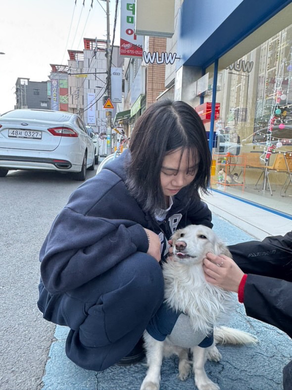 디크리메 이미지