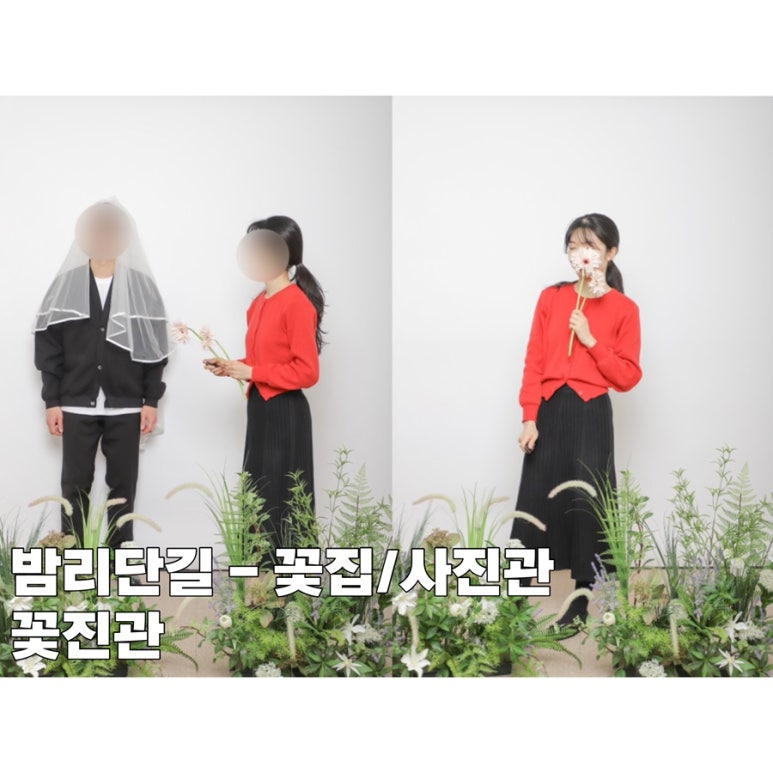 꽃진관 이미지
