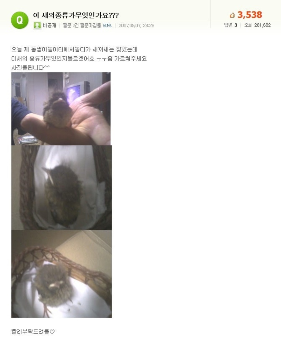 퀸투어스 이미지