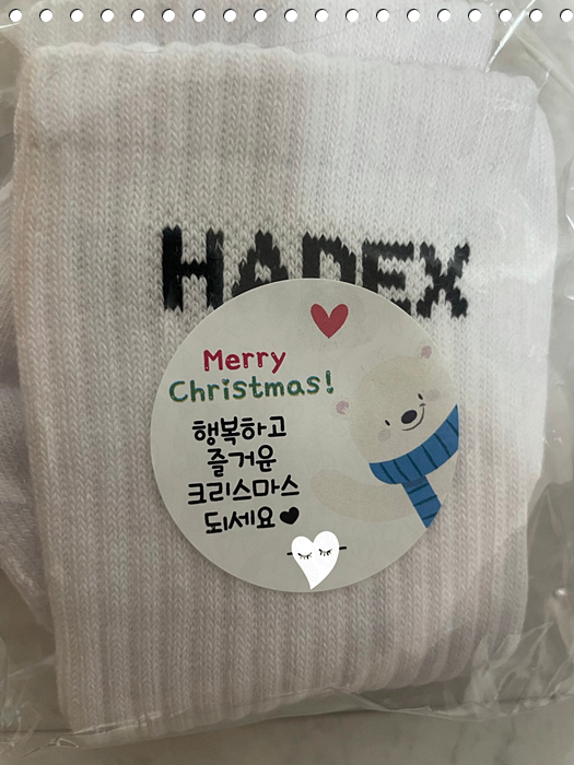 웰니스핏 이미지