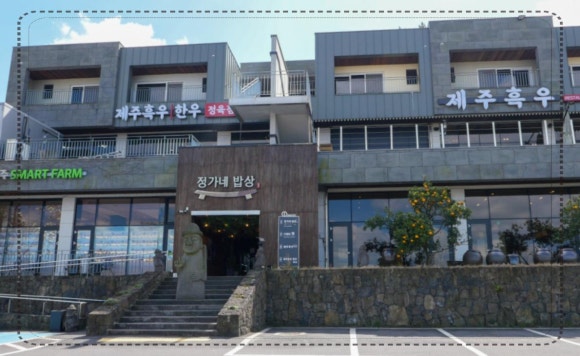 찐제주 이미지