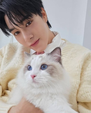 스카이가방 이미지