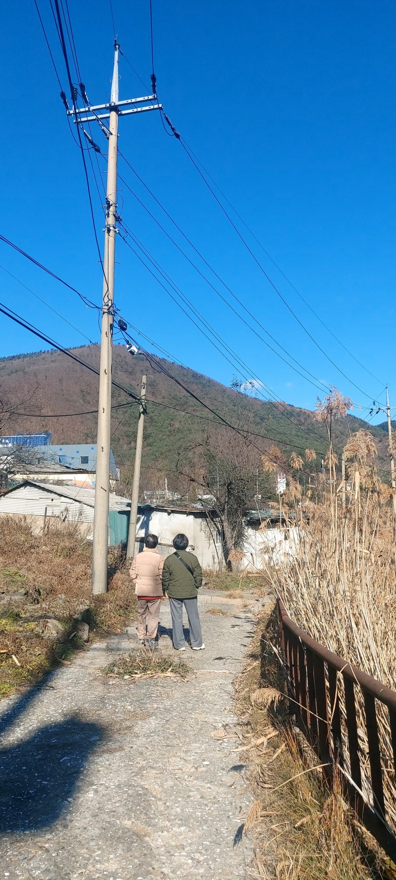 류의자능이버섯백숙 이미지