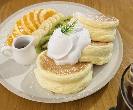 모리쉬 이미지