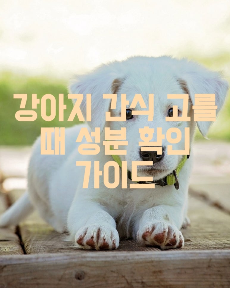 강아지 간식 고를 때 성분 확인 가이드