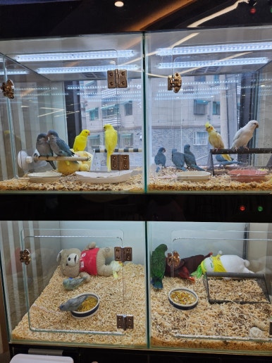 힐링코어 이미지
