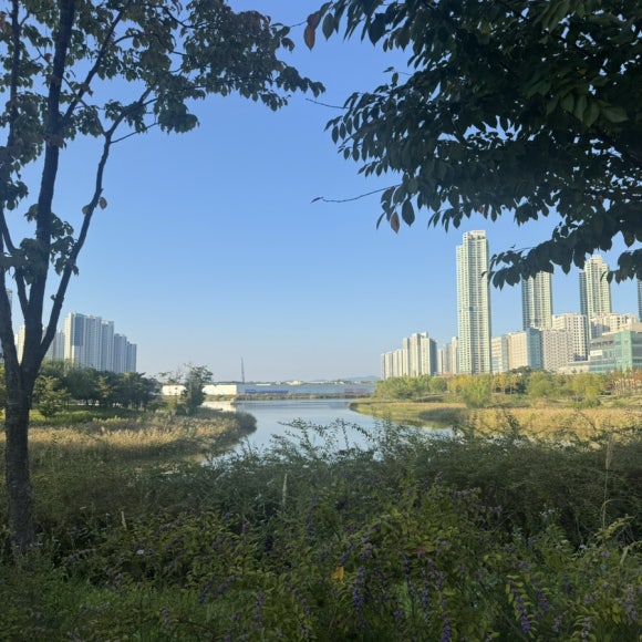카페블룸옐로우 이미지