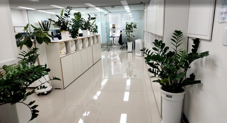 새봄세무회계 이미지