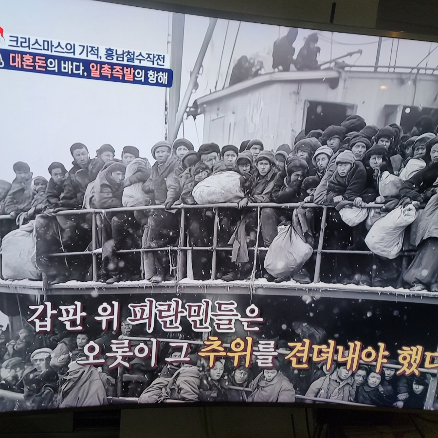 김치파이브 이미지