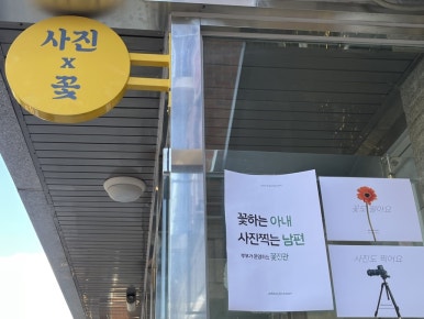 꽃진관 이미지
