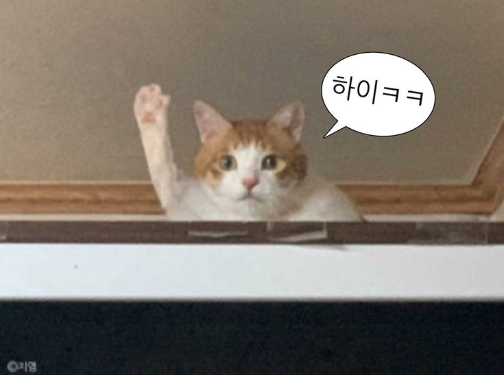 문치킨 이미지