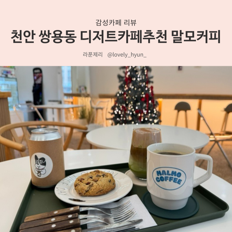 말모커피 이미지
