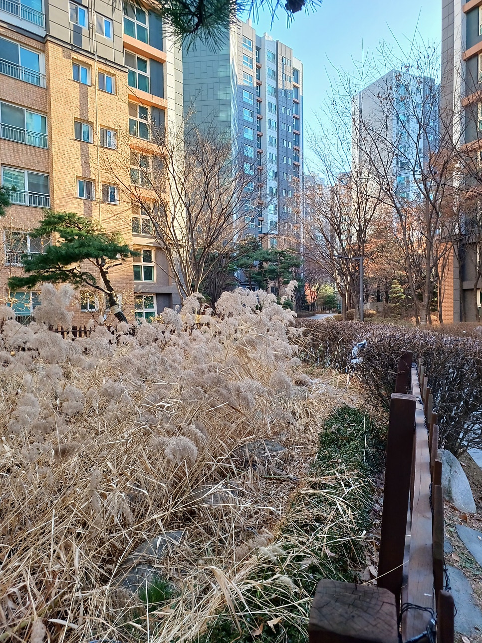 마곡 소공원 이미지