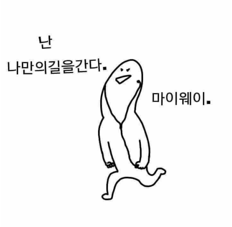 벨라슈즈 이미지
