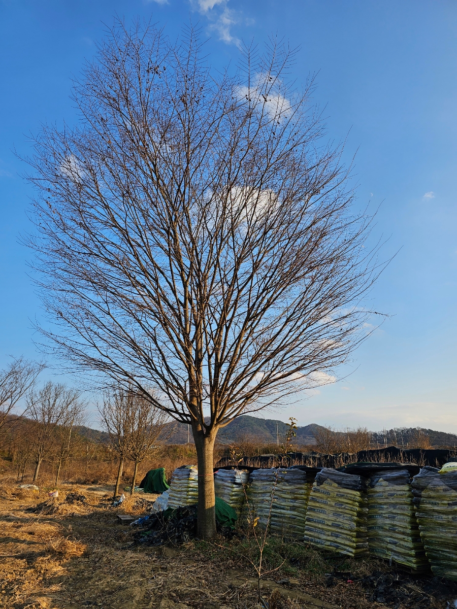증산유통 이미지