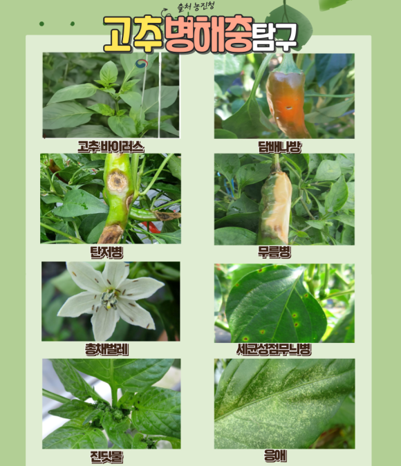 풍년농약사 이미지
