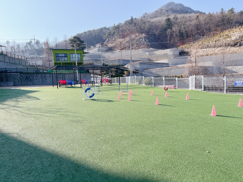 가평 독채 애견펜션 넓은 운동장 후기 — 사진 2