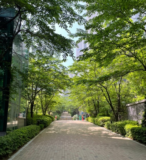 북한산조경개발 이미지
