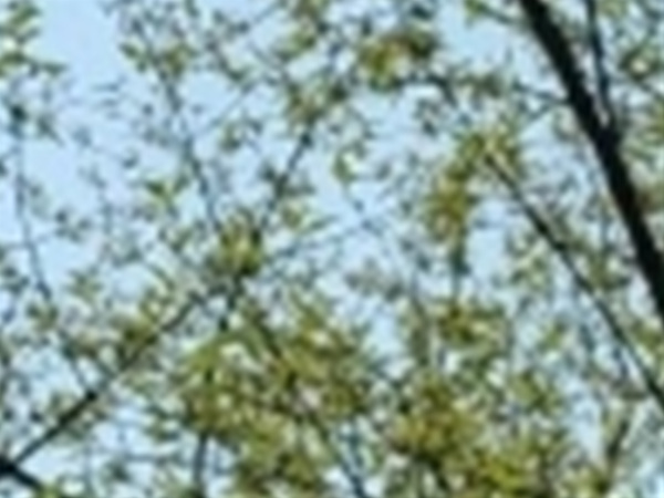 와인치과의원 이미지