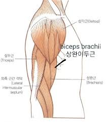 운동에반하다신봉점 이미지
