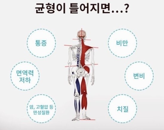 셀핏 이미지