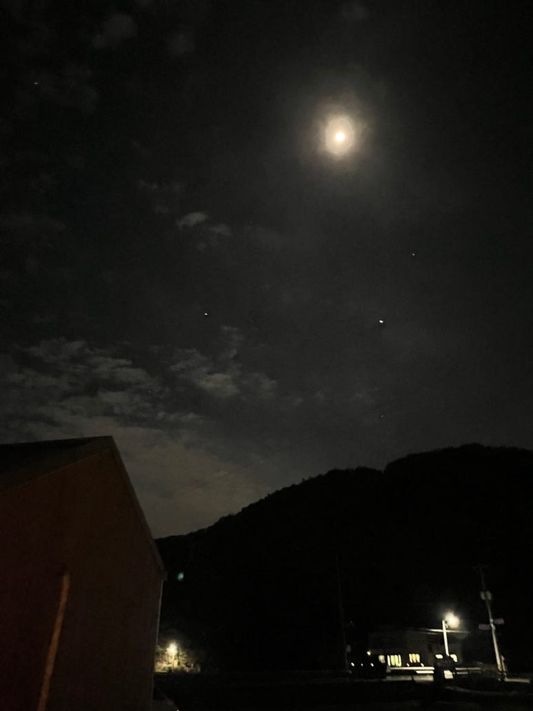 두모밤 이미지