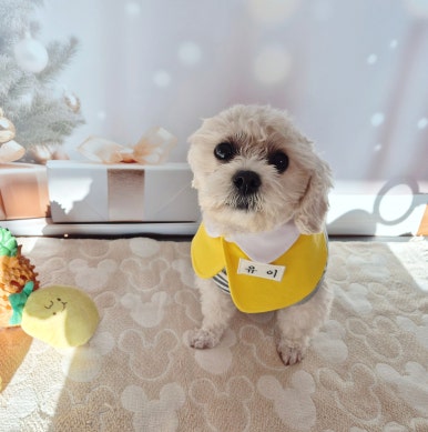 올망졸망 이미지