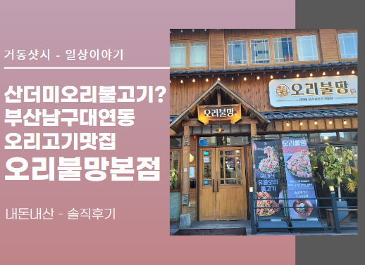오리불망 이미지