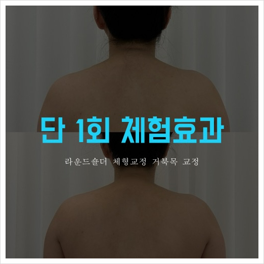 셀핏 이미지