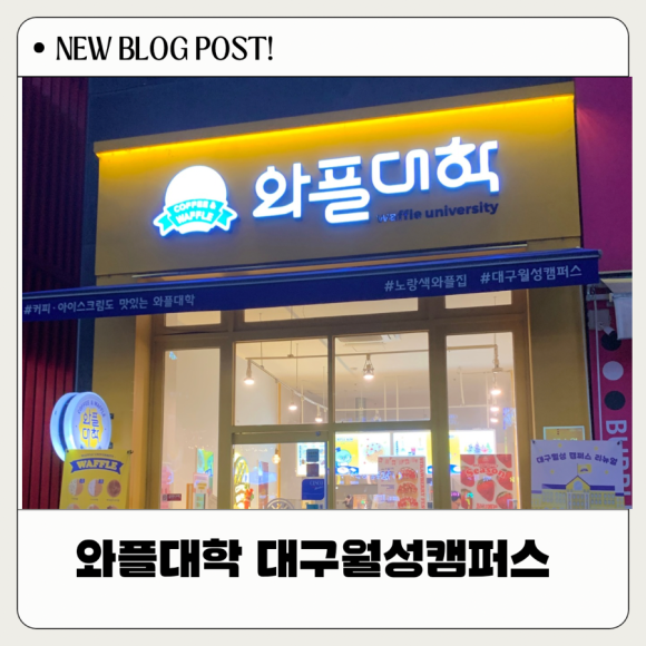 와플대학 대구월성캠퍼스 이미지