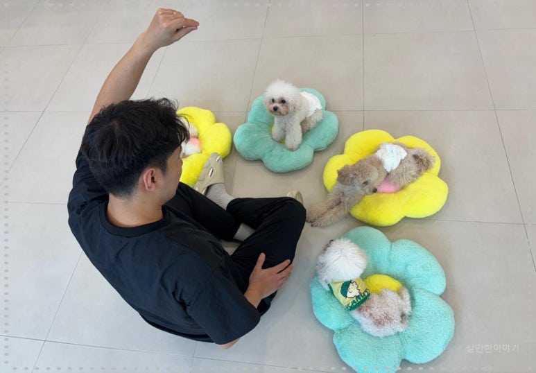 호텔맘 이미지