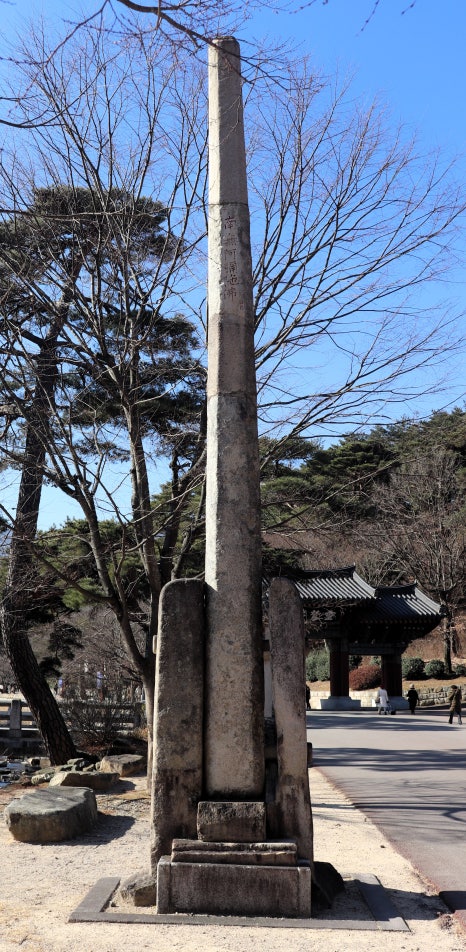 대도장 이미지