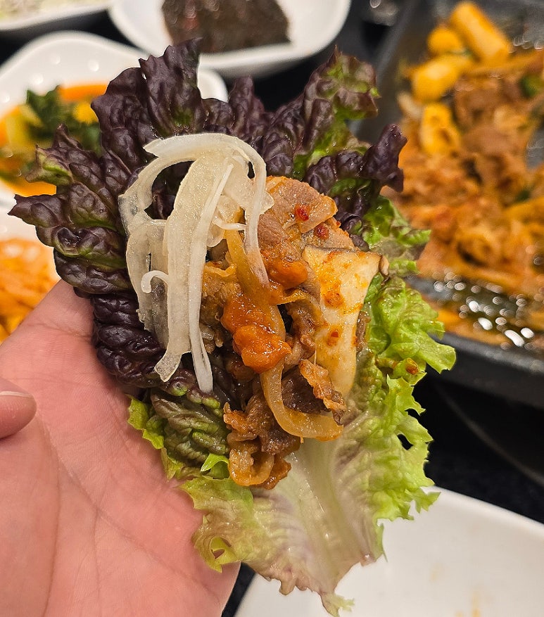 대경 오리 하우스 이미지