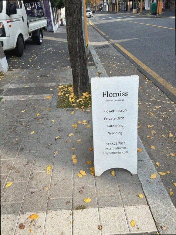 플로미스 이미지