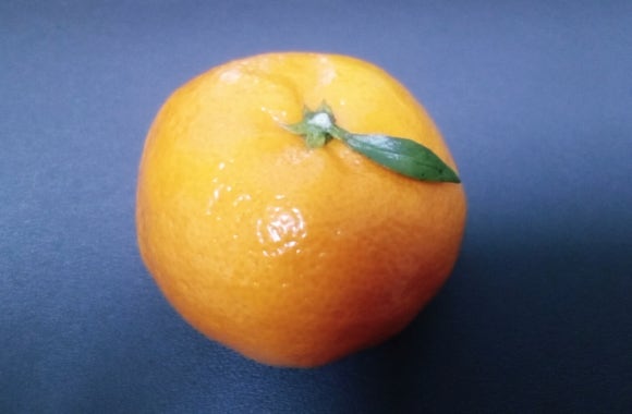 귤방 이미지