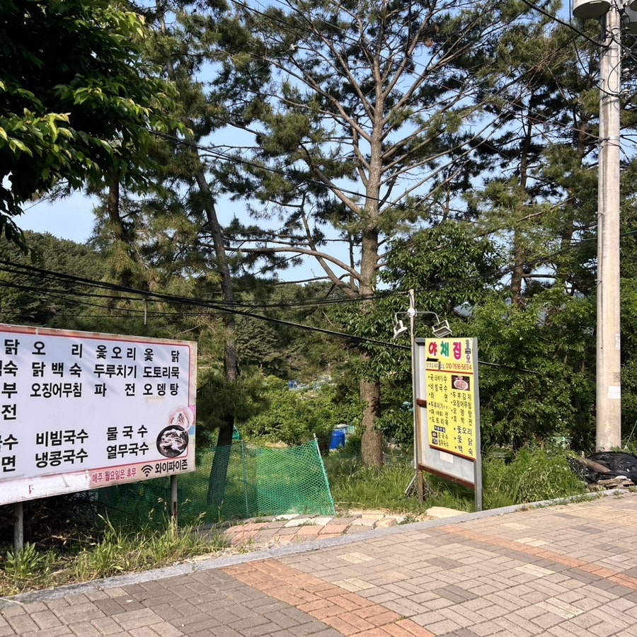 파전에막걸리한잔 이미지