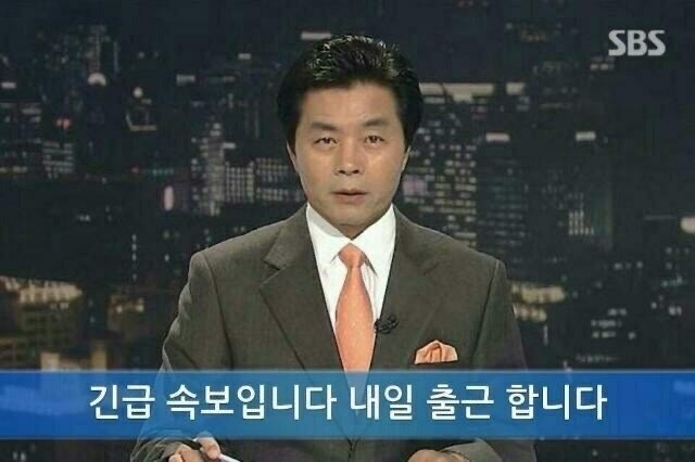 어리진 이미지