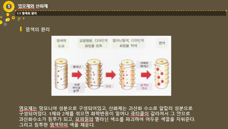 동네염색방 이미지