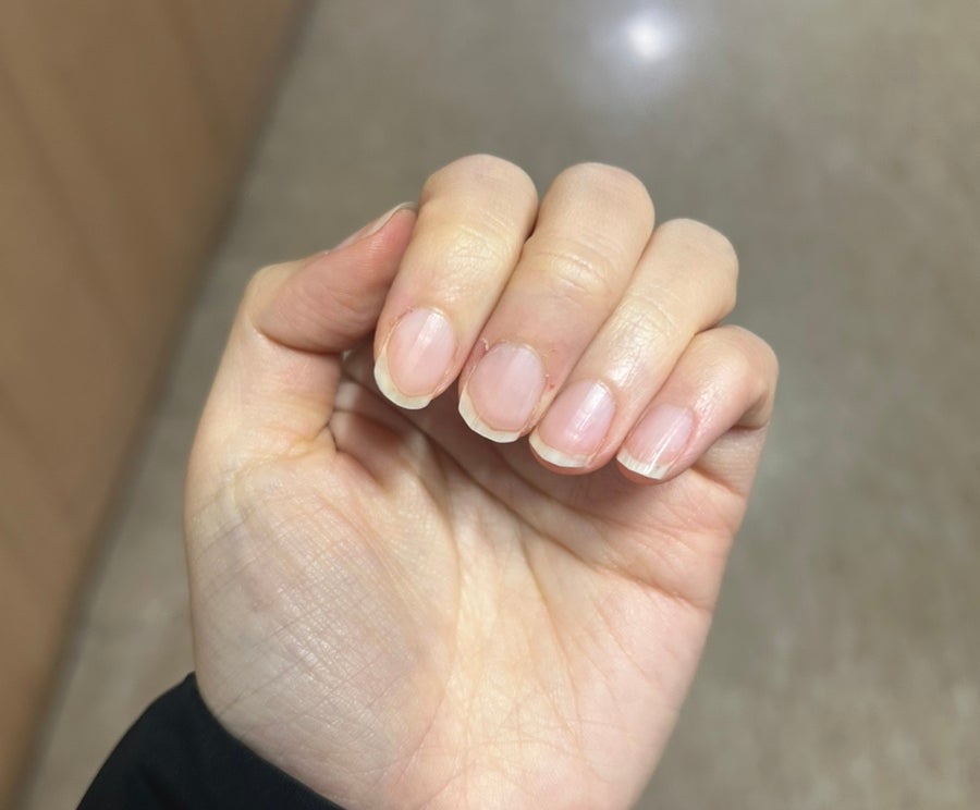네일;피오리 이미지