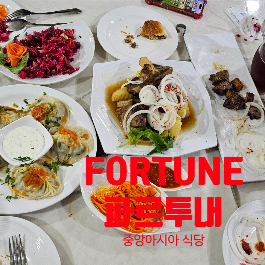 FORTUNE 파르투내 이미지