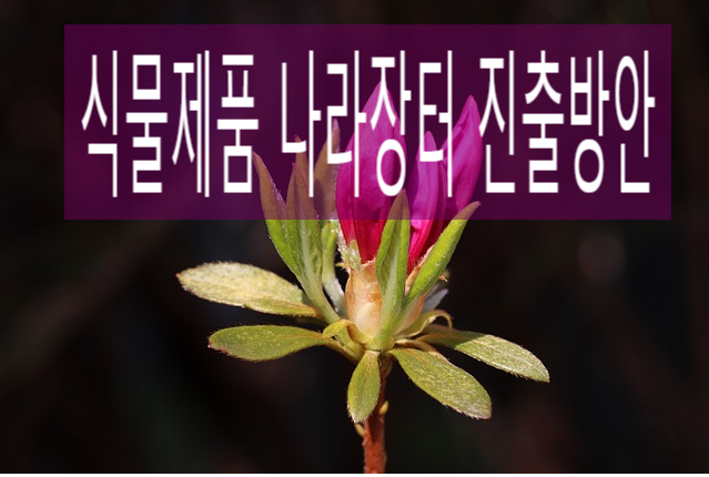 실크행정사사무소 이미지